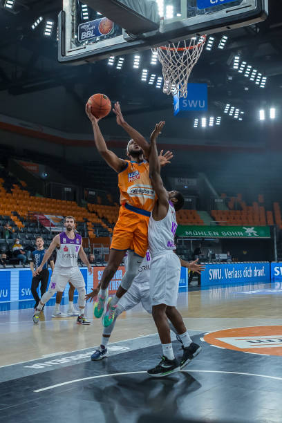 格稳健成熟 格稳健成熟